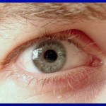 eye2.sized